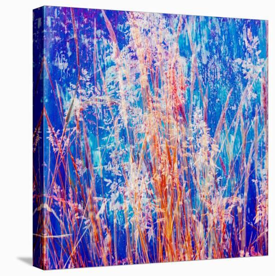 Montage of Grasses-Alaya Gadeh-Stretched Canvas