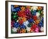 Montage of Multicolored Bows-Steve Terrill-Framed Photographic Print