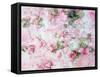 Montage of Pink Roses on a Painted Background-Alaya Gadeh-Framed Stretched Canvas