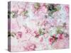 Montage of Pink Roses on a Painted Background-Alaya Gadeh-Stretched Canvas