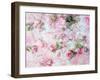 Montage of Pink Roses on a Painted Background-Alaya Gadeh-Framed Photographic Print