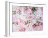 Montage of Pink Roses on a Painted Background-Alaya Gadeh-Framed Photographic Print