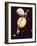 Montage of Saturn and Satellites Taken by Voyager 1 and 2, Titan Iapetus and Tethys Mimas and Rhea-null-Framed Photographic Print