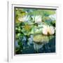 Montage of White Water Lilies-Alaya Gadeh-Framed Photographic Print