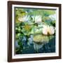 Montage of White Water Lilies-Alaya Gadeh-Framed Photographic Print
