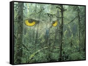Montage, Owl, Forest, Oregon, USA-Nancy Rotenberg-Framed Stretched Canvas