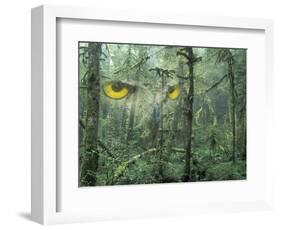 Montage, Owl, Forest, Oregon, USA-Nancy Rotenberg-Framed Photographic Print