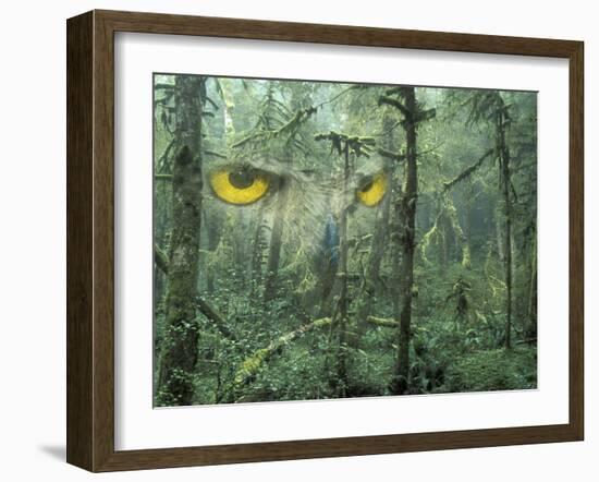 Montage, Owl, Forest, Oregon, USA-Nancy Rotenberg-Framed Photographic Print