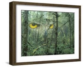 Montage, Owl, Forest, Oregon, USA-Nancy Rotenberg-Framed Photographic Print