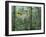 Montage, Owl, Forest, Oregon, USA-Nancy Rotenberg-Framed Photographic Print