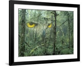 Montage, Owl, Forest, Oregon, USA-Nancy Rotenberg-Framed Photographic Print