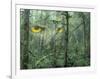 Montage, Owl, Forest, Oregon, USA-Nancy Rotenberg-Framed Photographic Print