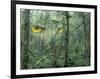 Montage, Owl, Forest, Oregon, USA-Nancy Rotenberg-Framed Photographic Print