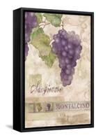 Montalcino Sangiovese 1-Maria Trad-Framed Stretched Canvas