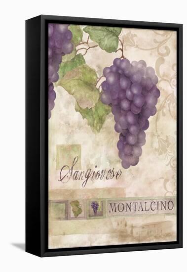 Montalcino Sangiovese 1-Maria Trad-Framed Stretched Canvas