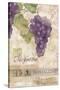 Montalcino Sangiovese 1-Maria Trad-Stretched Canvas