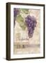 Montalcino Sangiovese 2-Maria Trad-Framed Giclee Print