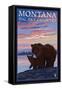 Montana - Big Sky Country - Bear and Cub, c.2008-Lantern Press-Framed Stretched Canvas