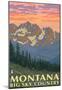 Montana - Big Sky Country - Spring Flowers, c.2008-null-Mounted Poster