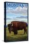 Montana - Bison Scene-Lantern Press-Stretched Canvas