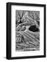 Montana. Black and White Image of Unusual Erosion Formations Found in Makoshika State Park-Judith Zimmerman-Framed Photographic Print