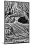 Montana. Black and White Image of Unusual Erosion Formations Found in Makoshika State Park-Judith Zimmerman-Mounted Photographic Print