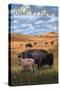 Montana - Buffalo Herd and Calf-Lantern Press-Stretched Canvas