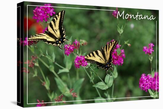 Montana - Butterfly and Flowers-Lantern Press-Stretched Canvas