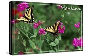 Montana - Butterfly and Flowers-Lantern Press-Stretched Canvas