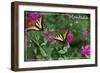 Montana - Butterfly and Flowers-Lantern Press-Framed Art Print