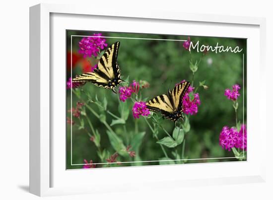 Montana - Butterfly and Flowers-Lantern Press-Framed Art Print