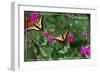 Montana - Butterfly and Flowers-Lantern Press-Framed Art Print