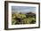 Montana De Lagi, Island La Palma, Canary Islands, Spain-Rainer Mirau-Framed Photographic Print