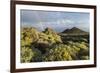 Montana De Lagi, Island La Palma, Canary Islands, Spain-Rainer Mirau-Framed Photographic Print