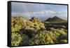 Montana De Lagi, Island La Palma, Canary Islands, Spain-Rainer Mirau-Framed Stretched Canvas