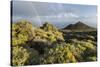 Montana De Lagi, Island La Palma, Canary Islands, Spain-Rainer Mirau-Stretched Canvas