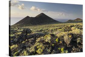 Montana De Lagi, Island La Palma, Canary Islands, Spain-Rainer Mirau-Stretched Canvas