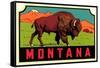 Montana Decal-null-Framed Stretched Canvas