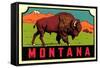 Montana Decal-null-Framed Stretched Canvas