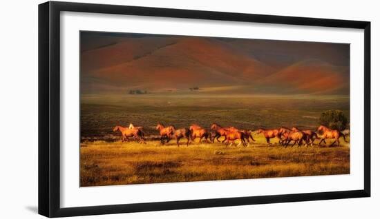 Montana Dreaming-Lisa Dearing-Framed Photographic Print