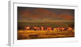 Montana Dreaming-Lisa Dearing-Framed Photographic Print