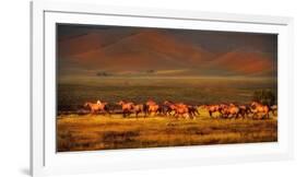 Montana Dreaming-Lisa Dearing-Framed Photographic Print