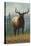 Montana - Elk Scene-Lantern Press-Stretched Canvas