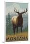 Montana - Elk Scene-Lantern Press-Framed Art Print