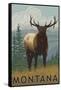 Montana - Elk Scene-Lantern Press-Framed Stretched Canvas