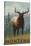 Montana - Elk Scene-Lantern Press-Stretched Canvas