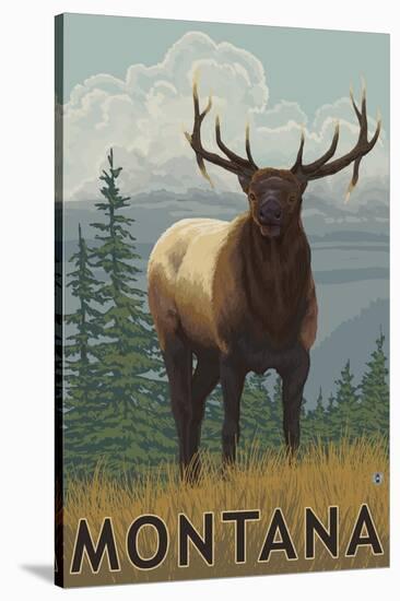 Montana - Elk Scene-Lantern Press-Stretched Canvas