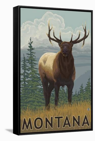 Montana - Elk Scene-Lantern Press-Framed Stretched Canvas