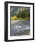 Montana, Glacier National Park, Cottonwood and Birch, and Conifers in Upper Mcdonald Valley-John Barger-Framed Photographic Print