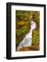 Montana, Glacier National Park. Waterfall Landscape-Jaynes Gallery-Framed Photographic Print